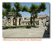 avignon1.jpg