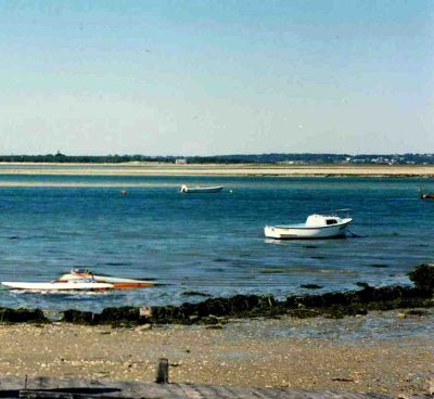 Copyright C.B.S.-Ed.Hybride Copyright C.B.S.-Ed.Hybride