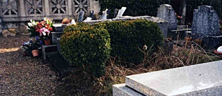 La tombe de Laure à Fourqueux, située sur une colline en face de Saint-Germain (dans le sud ouest). On peut remarquer comme seule indication un buisson de buis taillé en L. La tombe de Laure à Fourqueux, située sur une colline en face de Saint-Germain (dans le sud ouest). On peut remarquer comme seule indication un buisson de buis taillé en L.