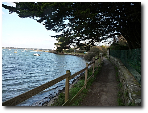 Le petit chemin qui sépare la maison du golfe du Morbihan.