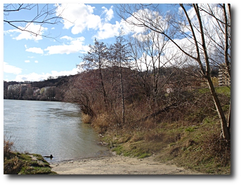 Les berges de Caluire (ph. Christian Broussas) Les berges de Caluire (ph. Christian Broussas)