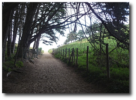 Le chemin, suite. Le chemin, suite.