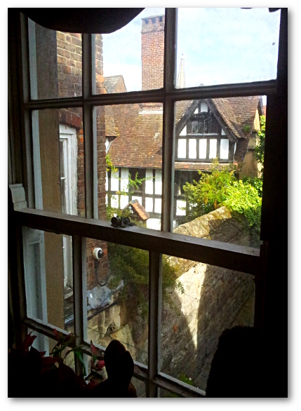 Vue depuis l'intérieur de la maison